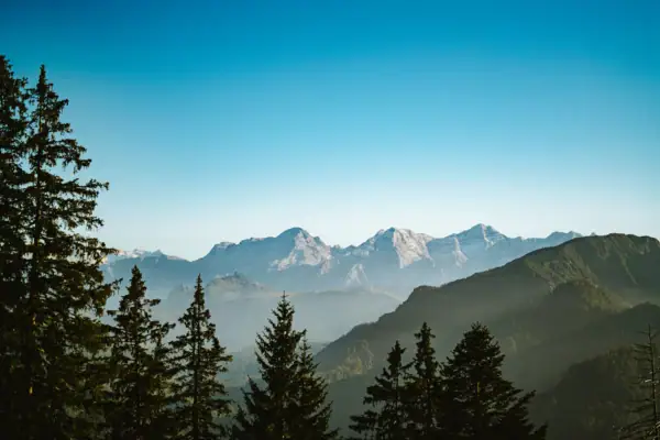 Bergkette mit Bäumen.