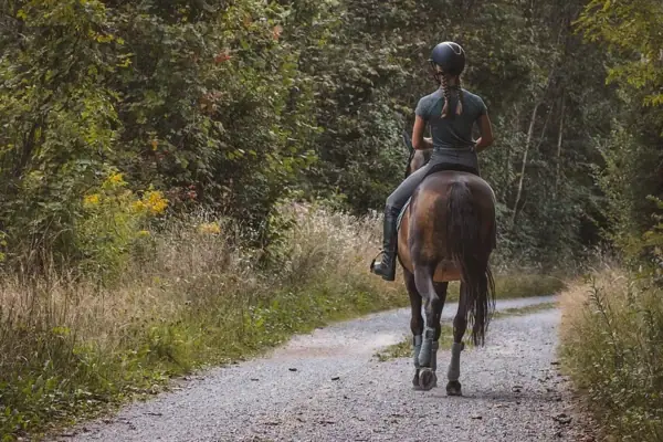 Reiten Eine Frau reitet auf einem Pferd auf einem Pfad.