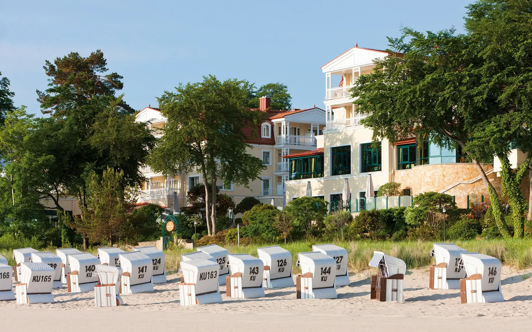 Group of beach chairs on a sandy beach under a clear sky.