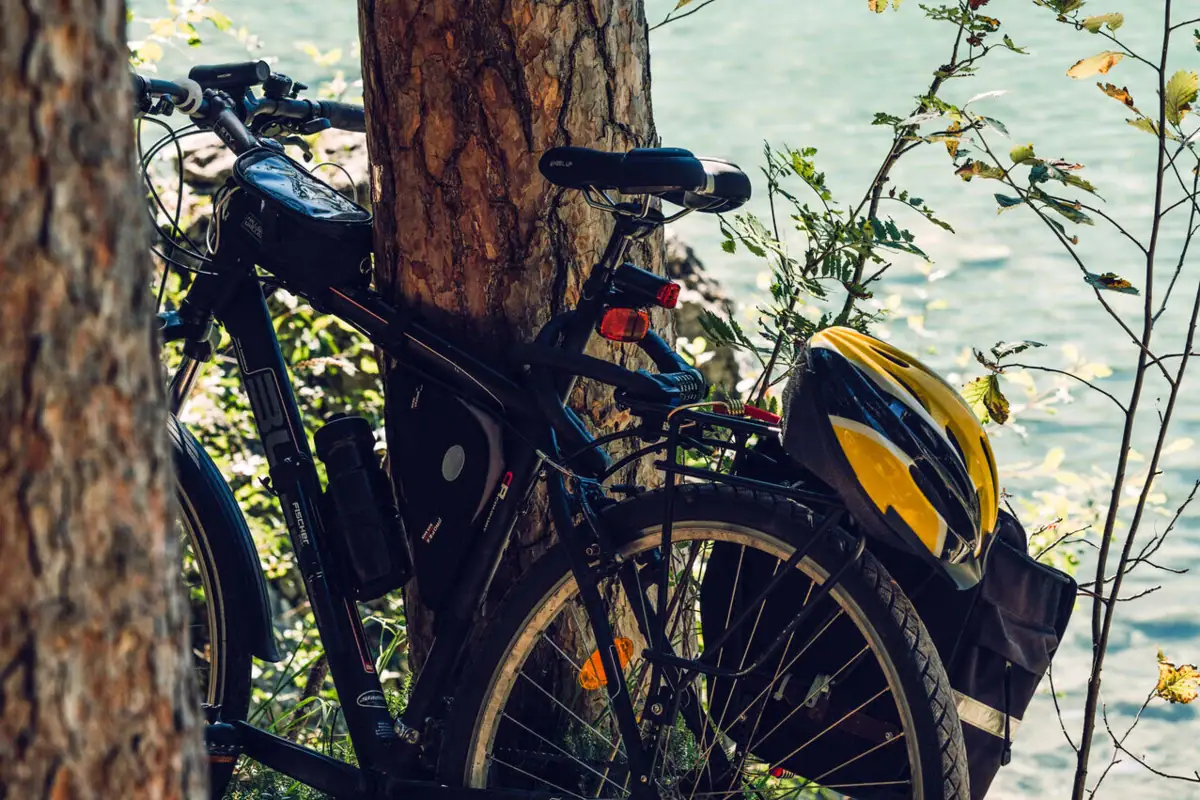 Fahrräder Eibsee Ein Fahrrad lehnt an einem Baum.