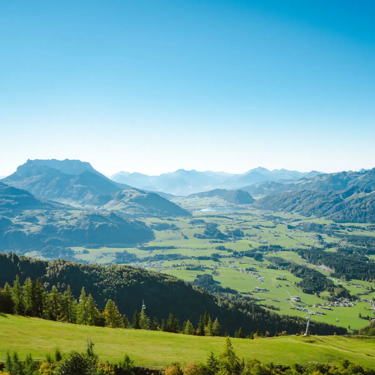 Aussicht vom Berg Grünes Tal mit Bergen und Bäumen.