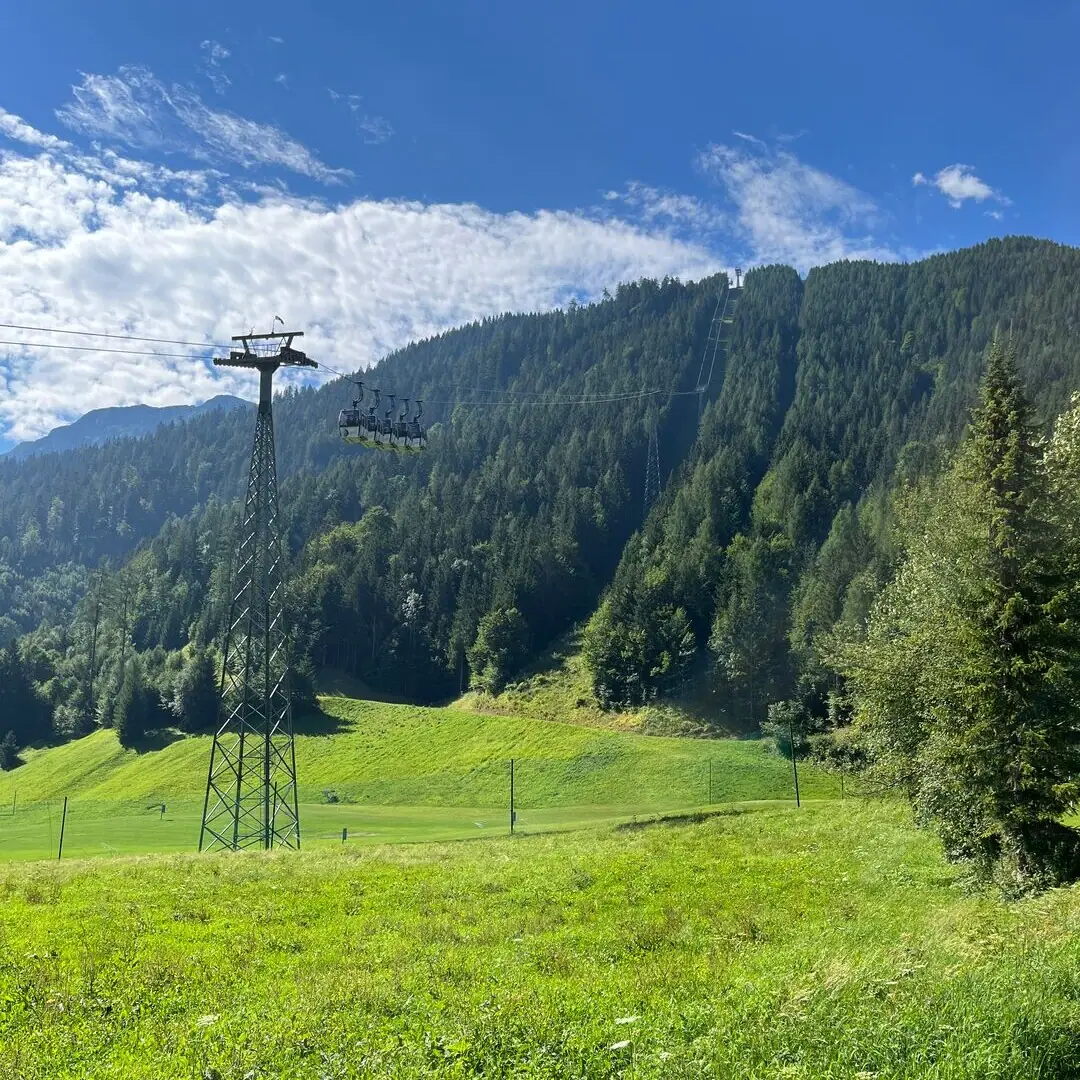Karwendel Bergbahn am Achensee Stromleitung in einem grasbewachsenen Feld mit Bäumen und blauem Himmel.