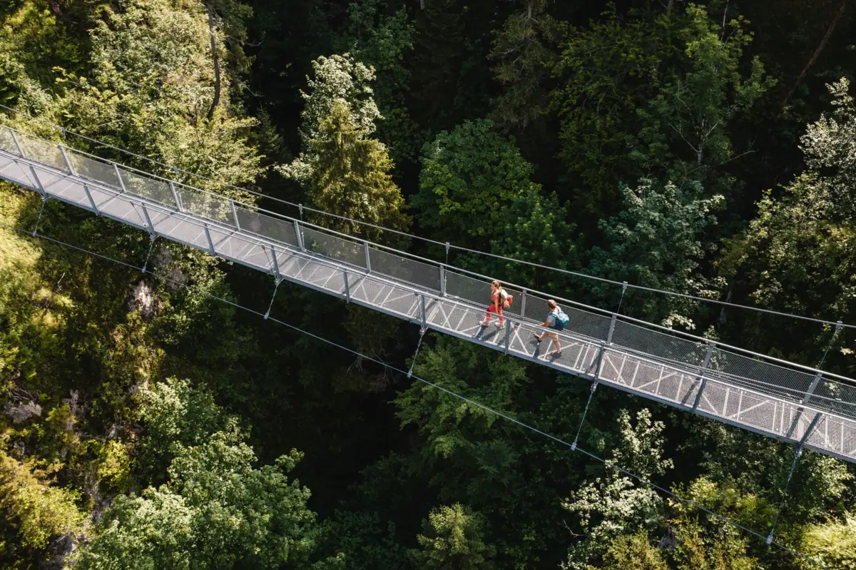 Hängebrücke Menschen auf einer Hängebrücke über einem Wald