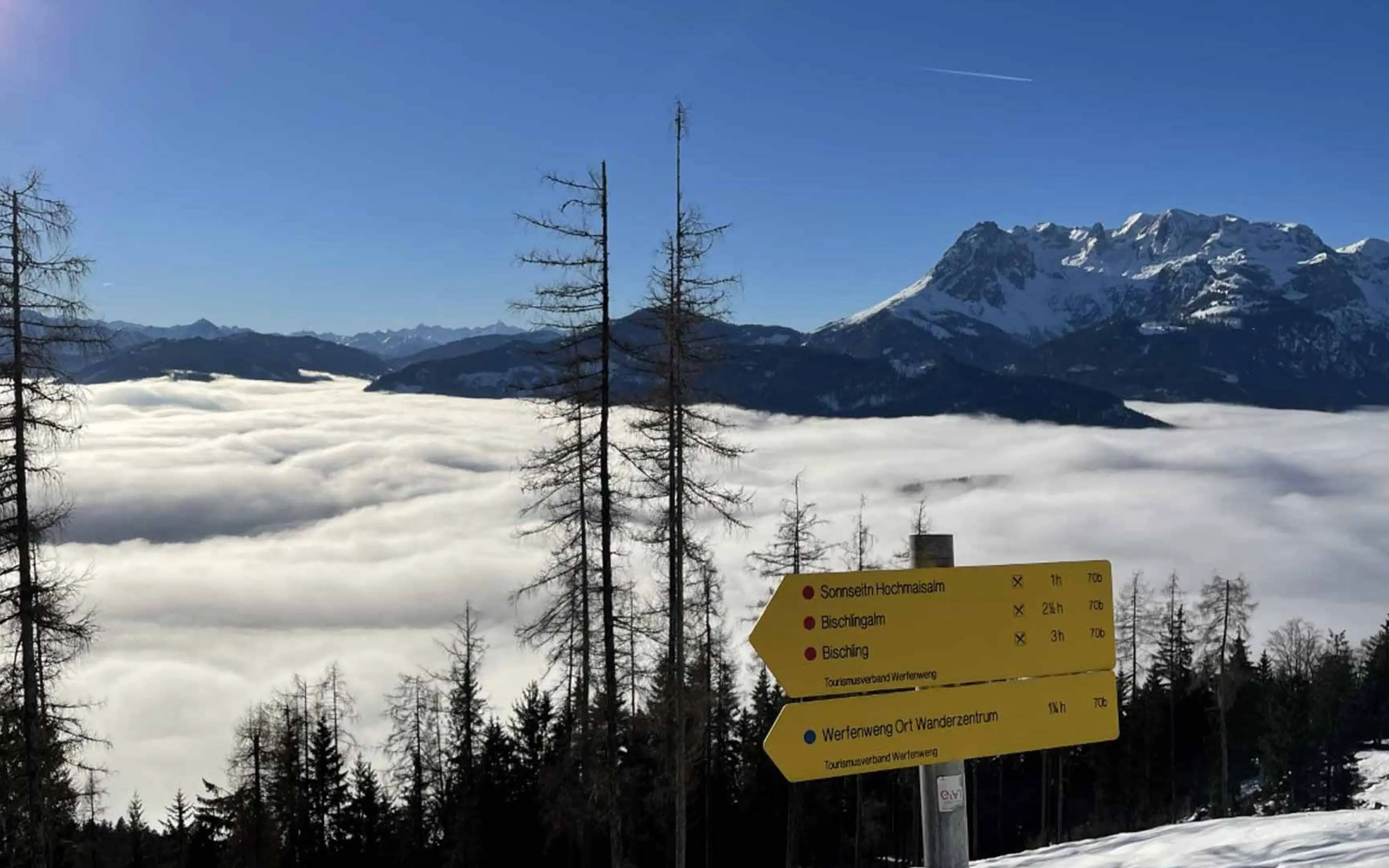 Wegweiser auf einem verschneiten Berg mit Bäumen und Bergkulisse im Hintergrund.