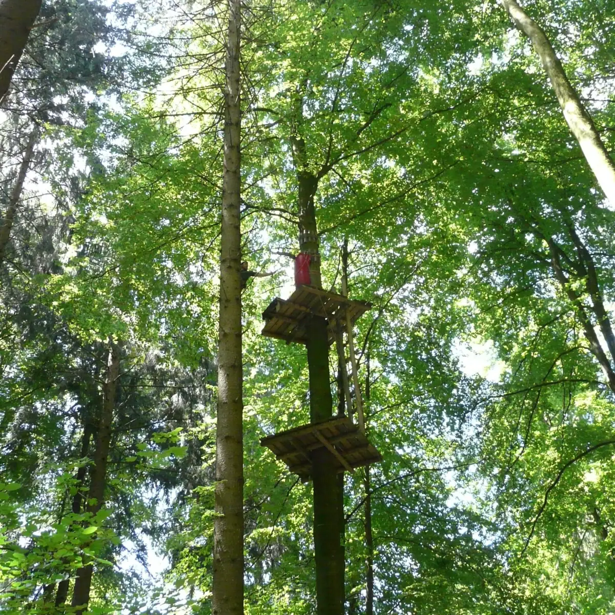 Eine Person in einem Kletterwald.