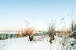 Schneebedeckter Boden mit hohem Gras und einem Pier im Hintergrund.