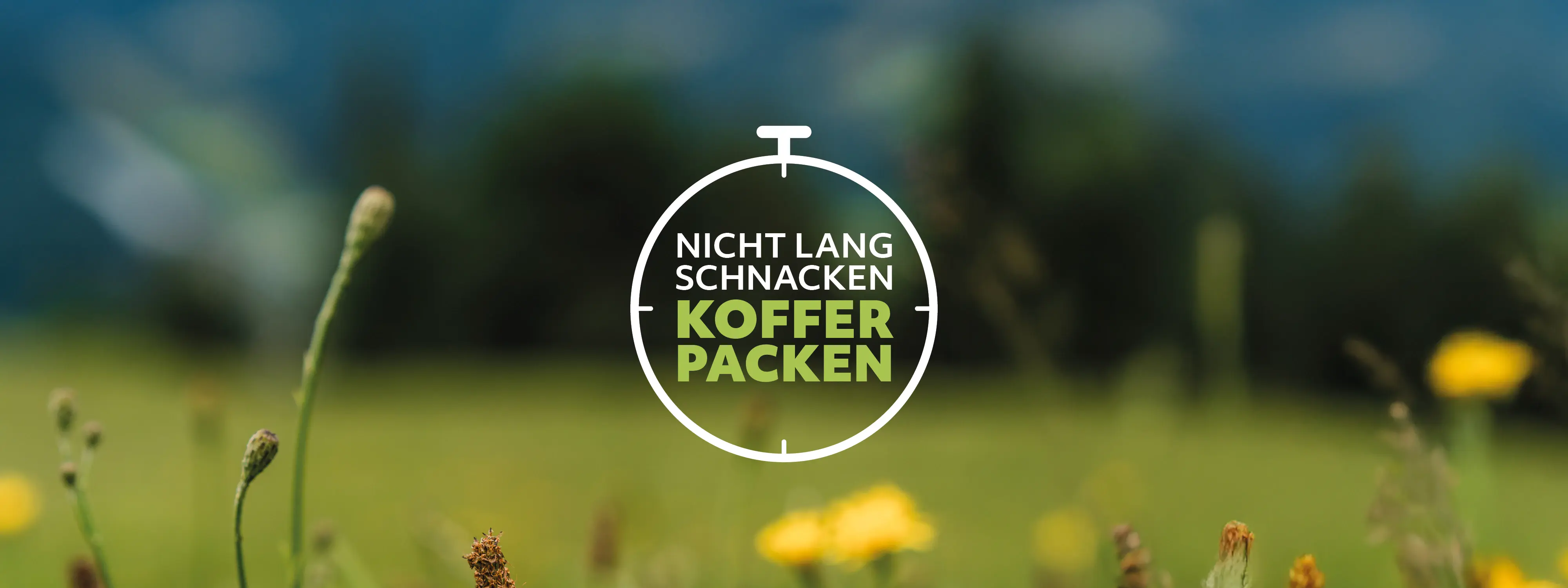 Sommer-Last-Minute Weißer Kreis mit grünem Text und gelben Blumen