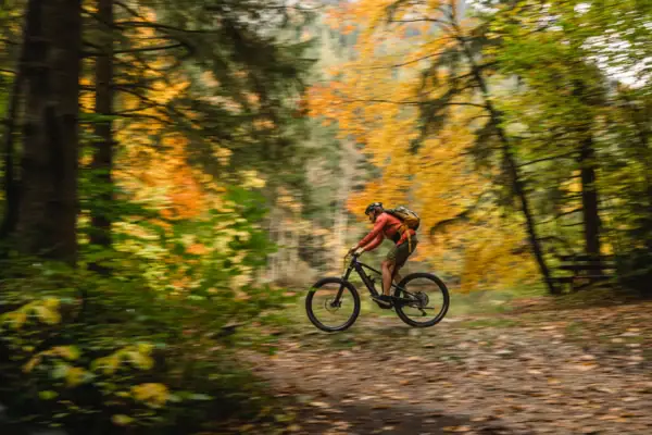 Eine Person fährt mit dem Fahrrad durch den Wald.