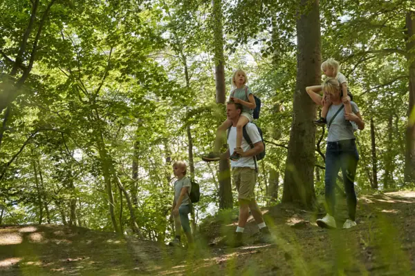 Eine Gruppe von Menschen beim Wandern im Wald auf Usedom.