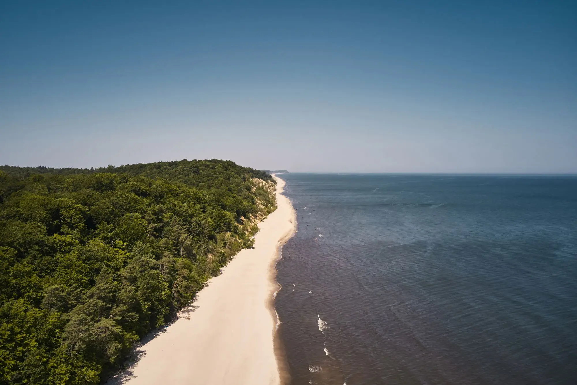 Küstenstreifen Ein Strand mit Bäumen und Wasser im Vordergrund.
