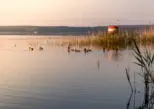 Bad Saarow