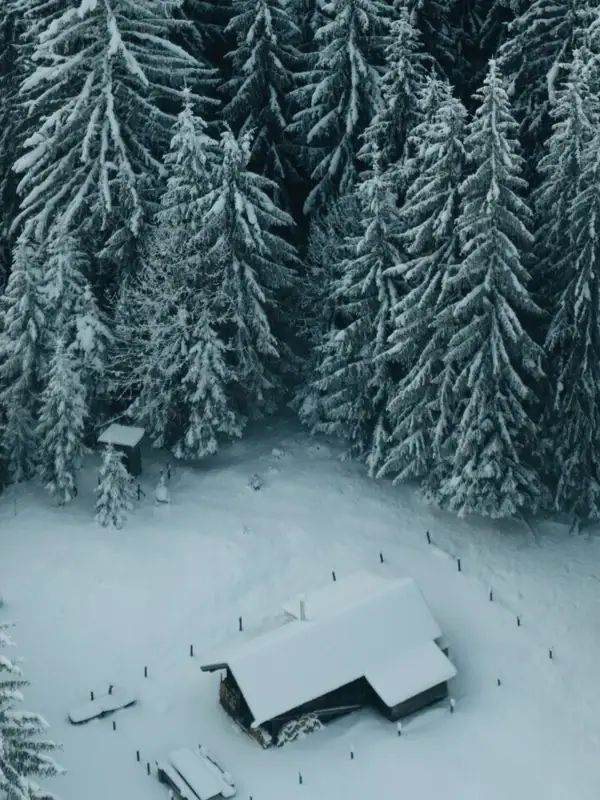 Eine Hütte im Schnee umgeben von verschneiten Bäumen.