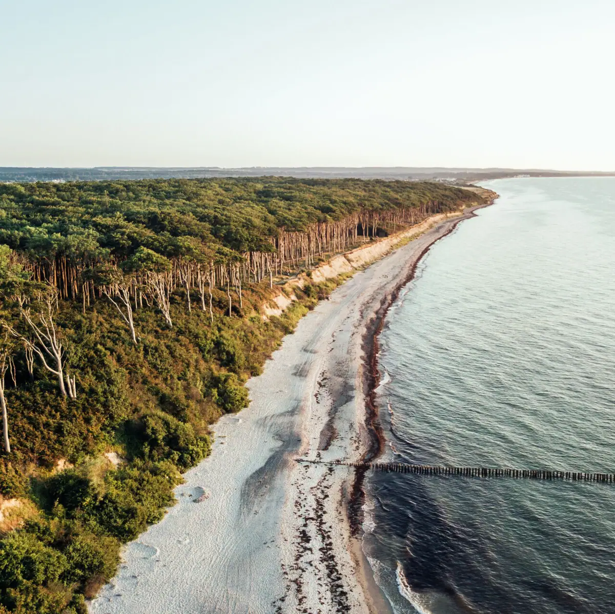 Strand mit Bäumen und einem Gewässer im Vordergrund.