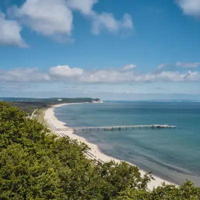 Ein Strand mit einem Pier und Bäumen.
