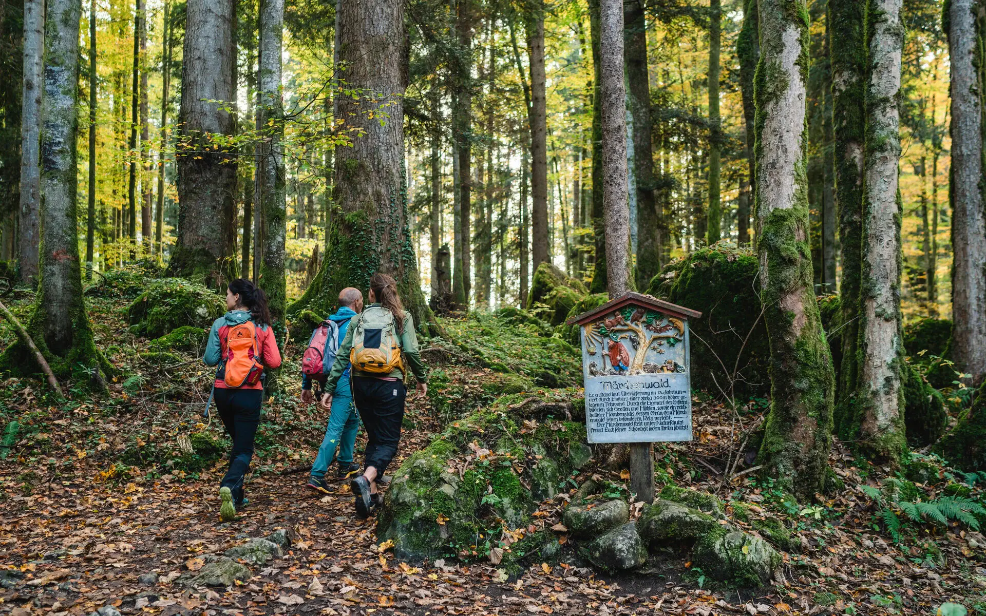 Eine Gruppe von Wanderern spaziert durch den Märchenwald in Ruhpolding, umgeben von moosbewachsenen Bäumen und dichtem Grün. Ein dekoratives Märchenschild am Wegesrand erzählt eine Geschichte.