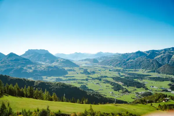 Grünes Tal mit Bergen und Bäumen.