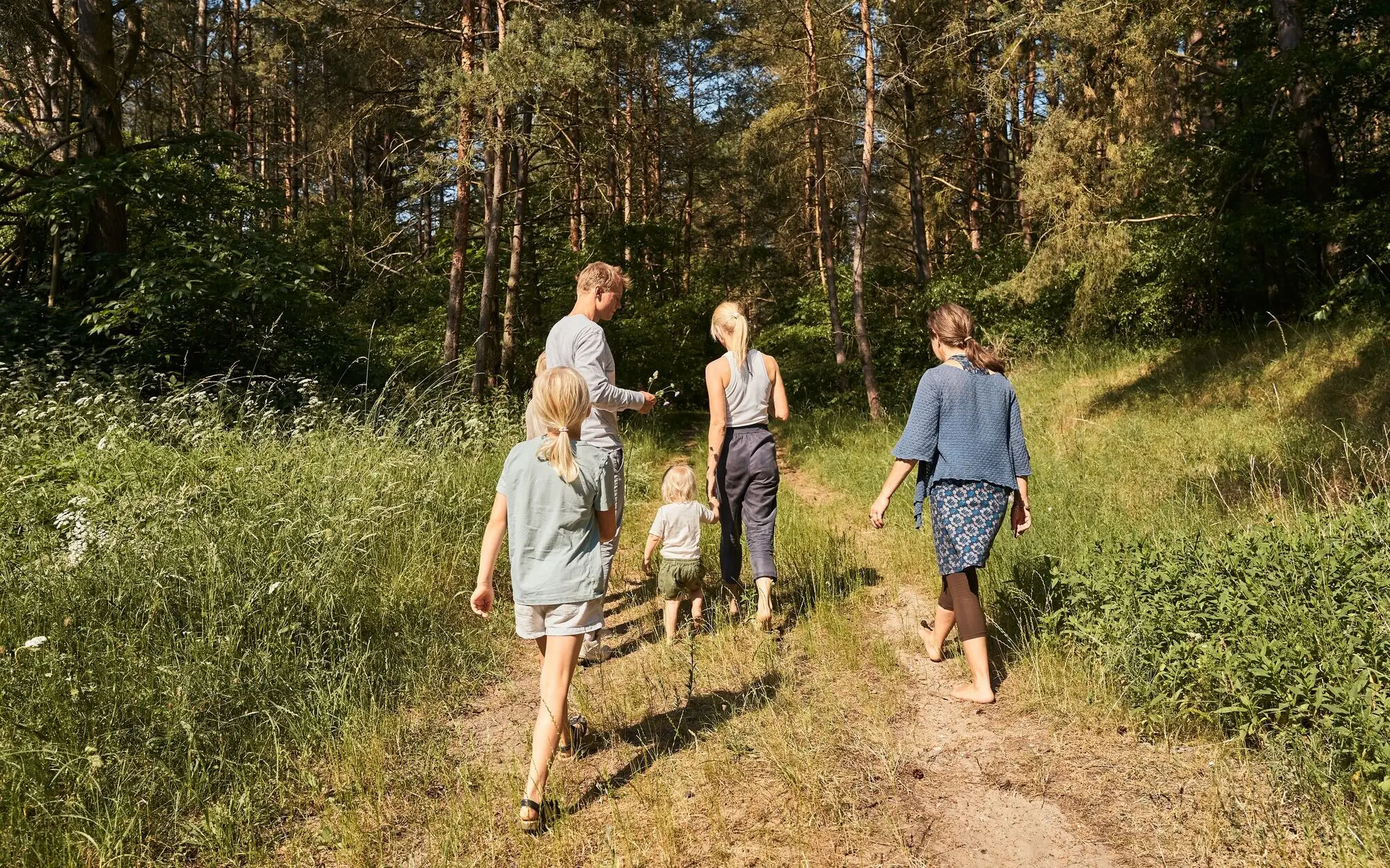 Gruppe von Personen beim Wandern auf einem Waldweg.