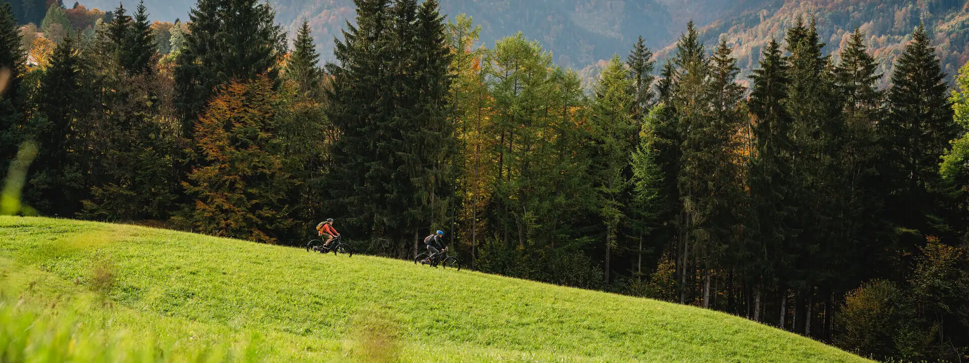 Eine Gruppe von Menschen fährt mit Fahrrädern auf einem grasbewachsenen Hügel. Im Hintergrund sind Bäume und Berge zu sehen.