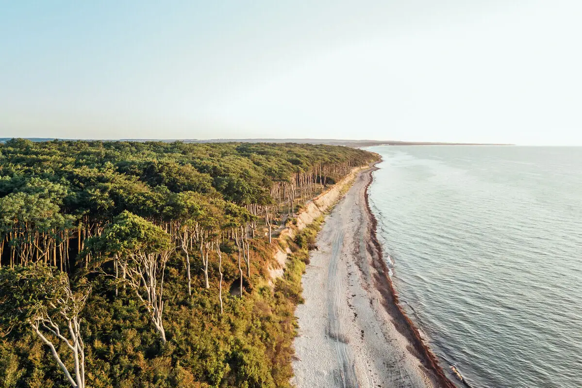 Strand mit Bäumen und Wasser im Vordergrund.