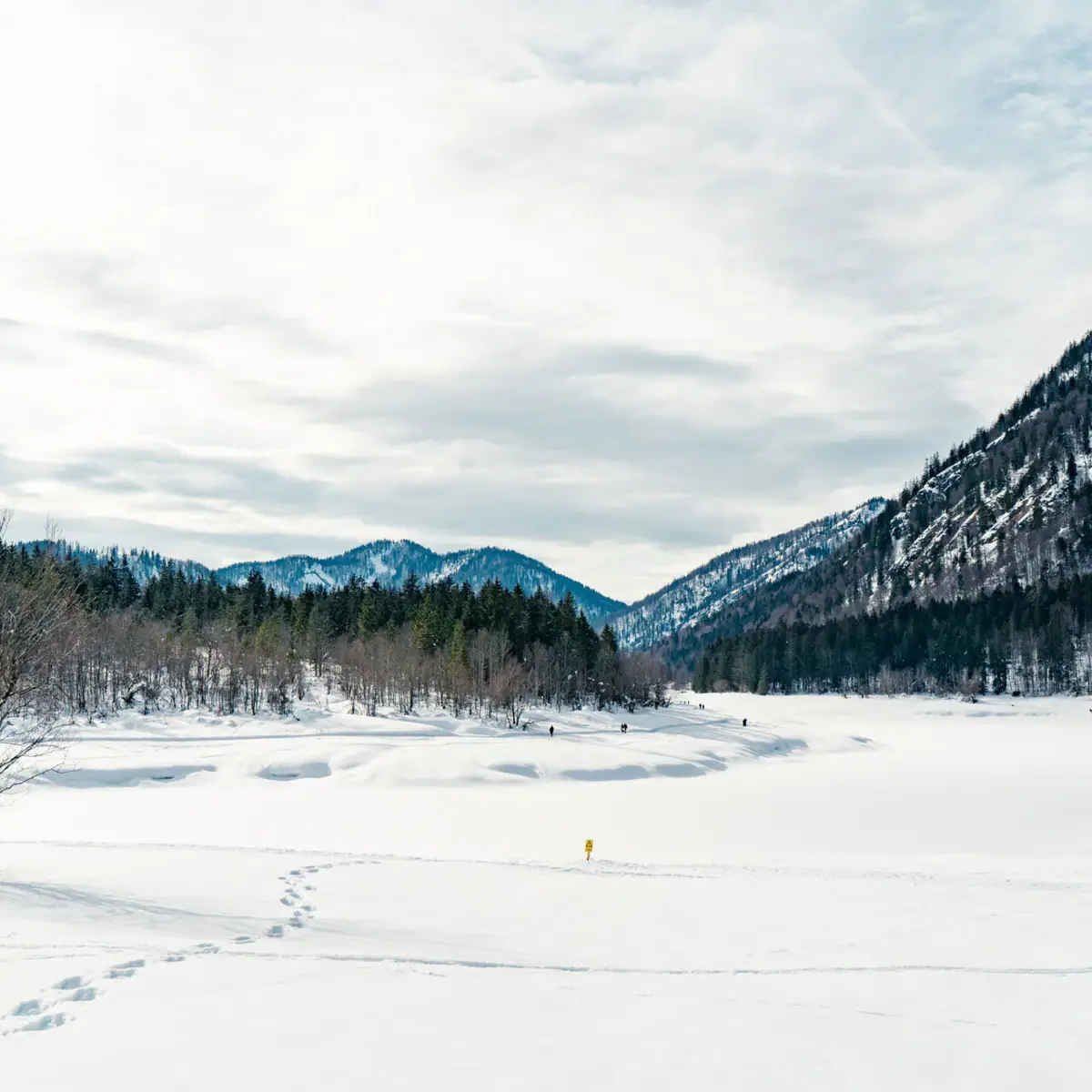 Winterlandschaft Verschneite Landschaft mit Bäumen und Bergen im Hintergrund.