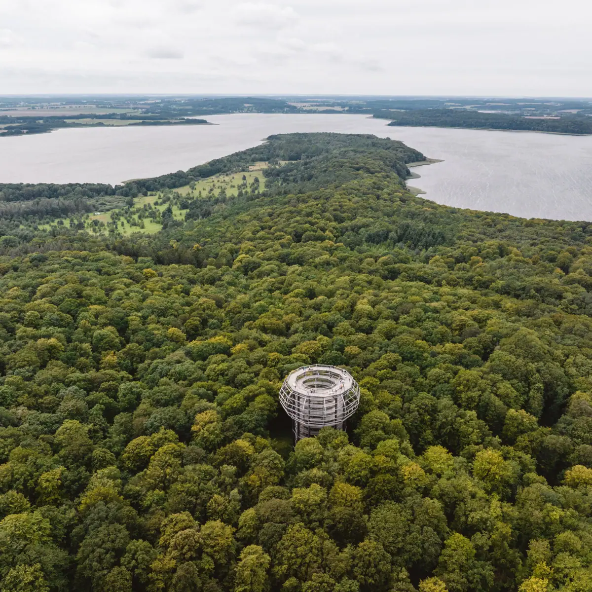 Große runde Struktur in einem Wald.
