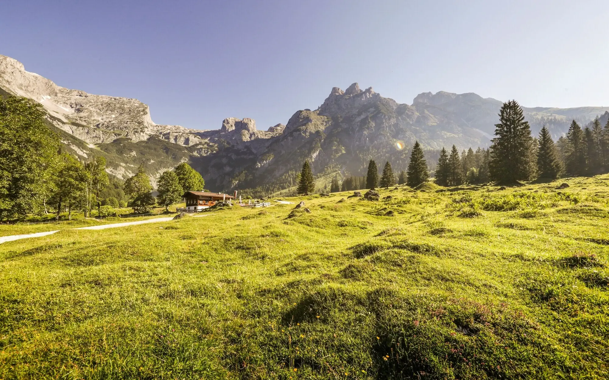 Grüne Wiese mit Bäumen und Bergen im Hintergrund.