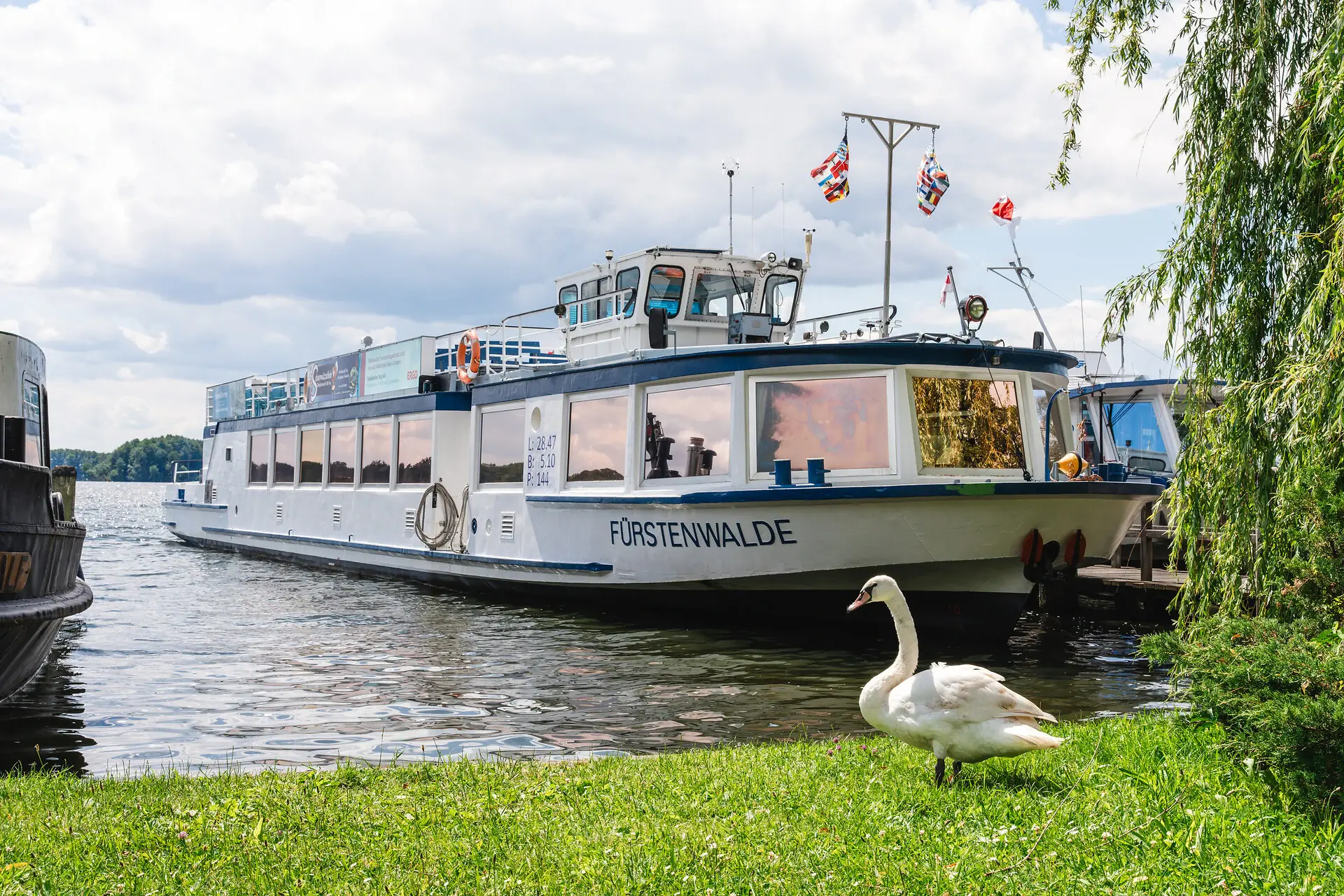 An einem ruhigen Ufer liegen Boote an. Die Wiese davor ist grün und ein weißer Schwan läuft hier entlang. 