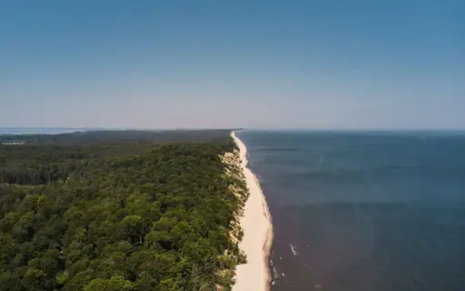 Strand mit Bäumen und Wasser, umgeben von einer Küstenlandschaft.