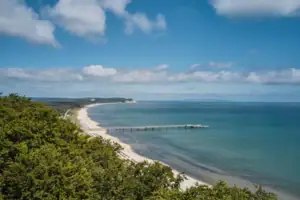 Ein Strand mit einem Pier und Bäumen im Vordergrund.
