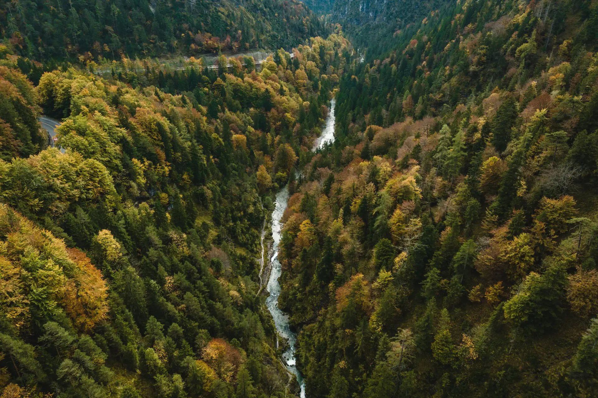 Ein Fluss fließt durch einen dichten Wald, umgeben von herbstlich gefärbten Bäumen und einem kleinen Wasserfall.