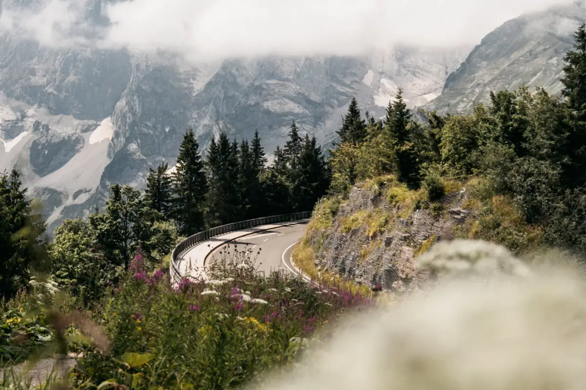 Straße mit Bäumen und Bergen im Hintergrund
