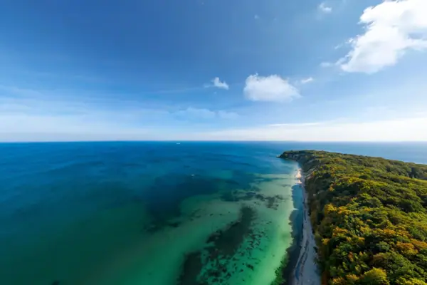 Ein Strand mit Bäumen und Wasser.