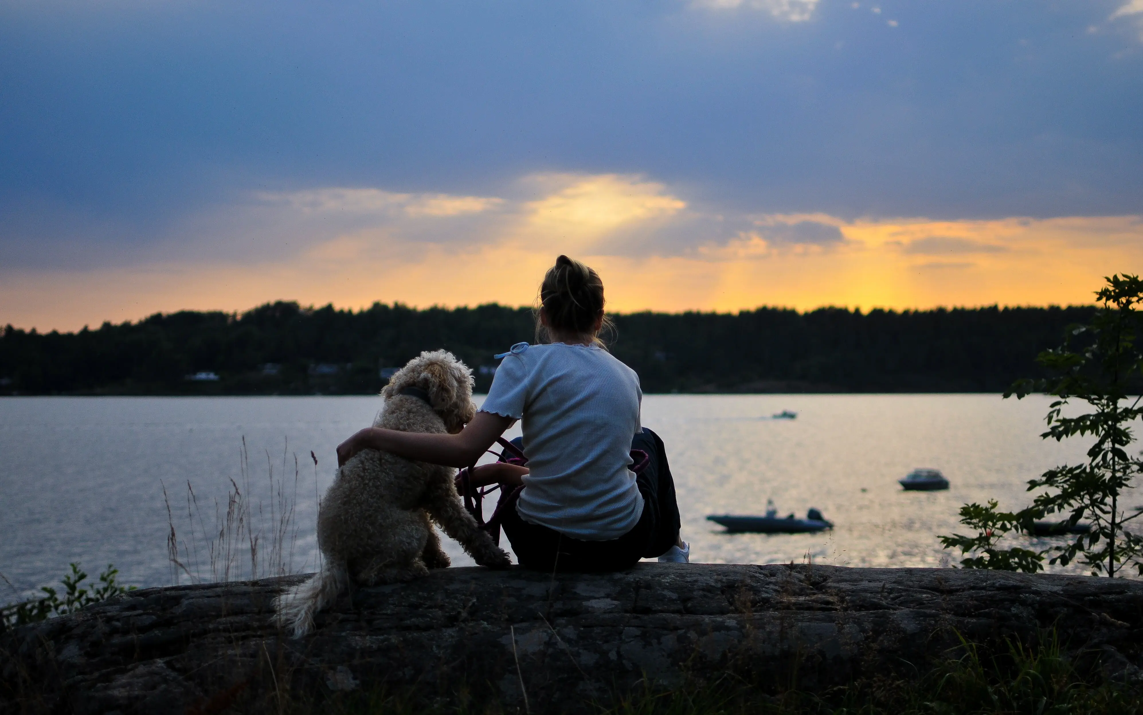 Eine Frau und ein Hund sitzen auf einem Baumstamm am Wasser.