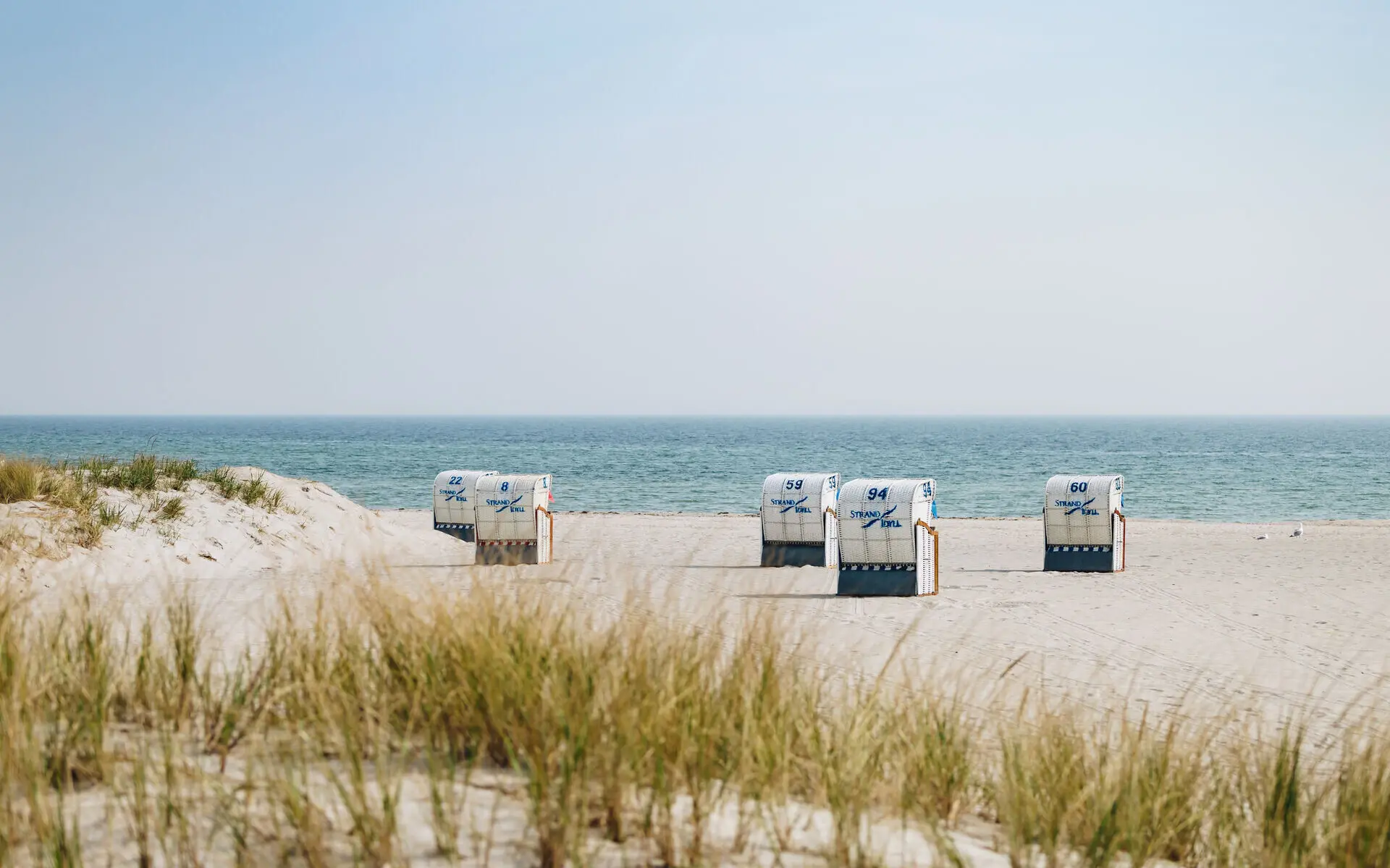 Gruppe weißer Strandkörbe am Strand.