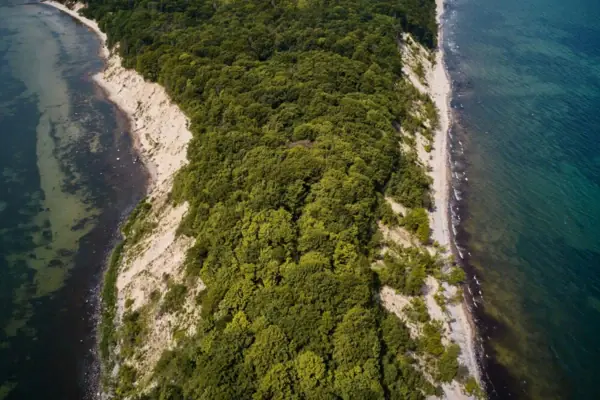 Luftaufnahme eines Strandes mit Bäumen im Vordergrund.