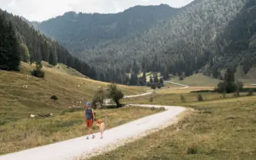 Ein Vater und sein Kind spazieren Hand in Hand auf einem Wanderweg durch eine malerische Almwiese, umgeben von grünen Hügeln und dichten Wäldern. 