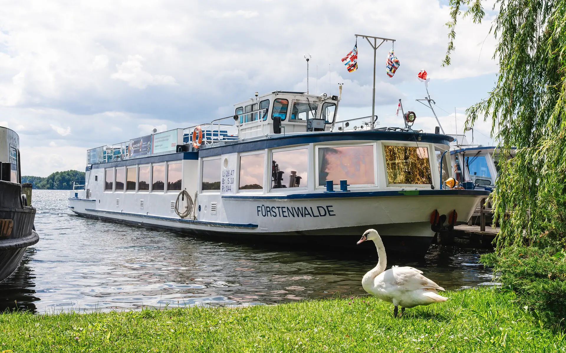 Ein Passagierboot am Anleger bei einer grünen Wiese. Ein Schwan läuft über die Wiese und ein Teil einer Weide hängt ins Bild. Die Sonne scheint warm auf das ruhige Wasser. 