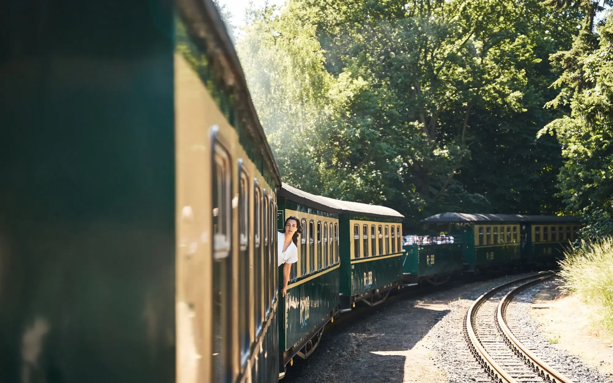 Historische Schmalspurbahn „Rasender Roland“ fährt durch eine grüne Waldlandschaft auf Rügen; eine Frau lehnt lächelnd aus dem Fenster und genießt die Fahrt.