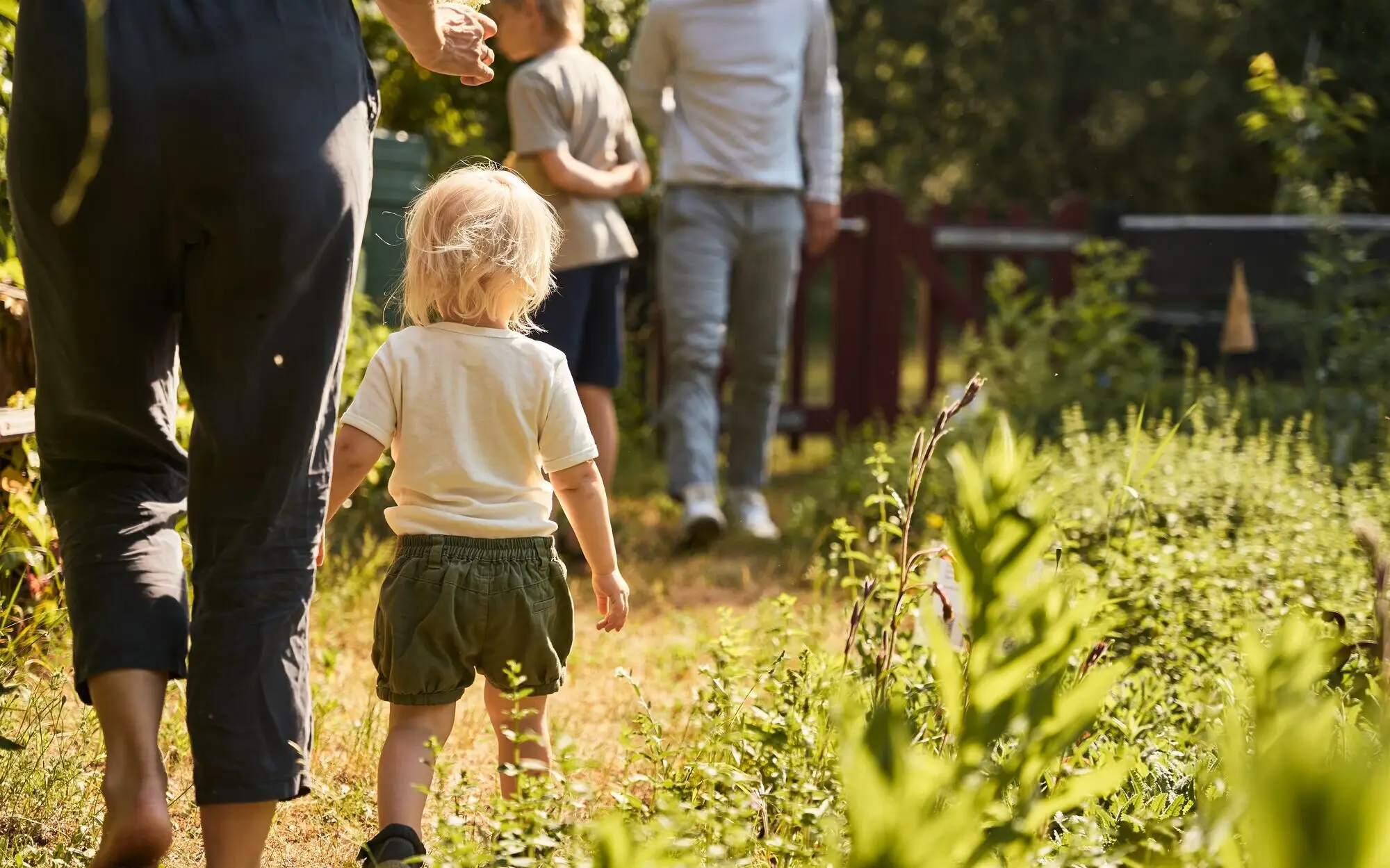 A group of people, including children and a toddler, walk along a herb bed.