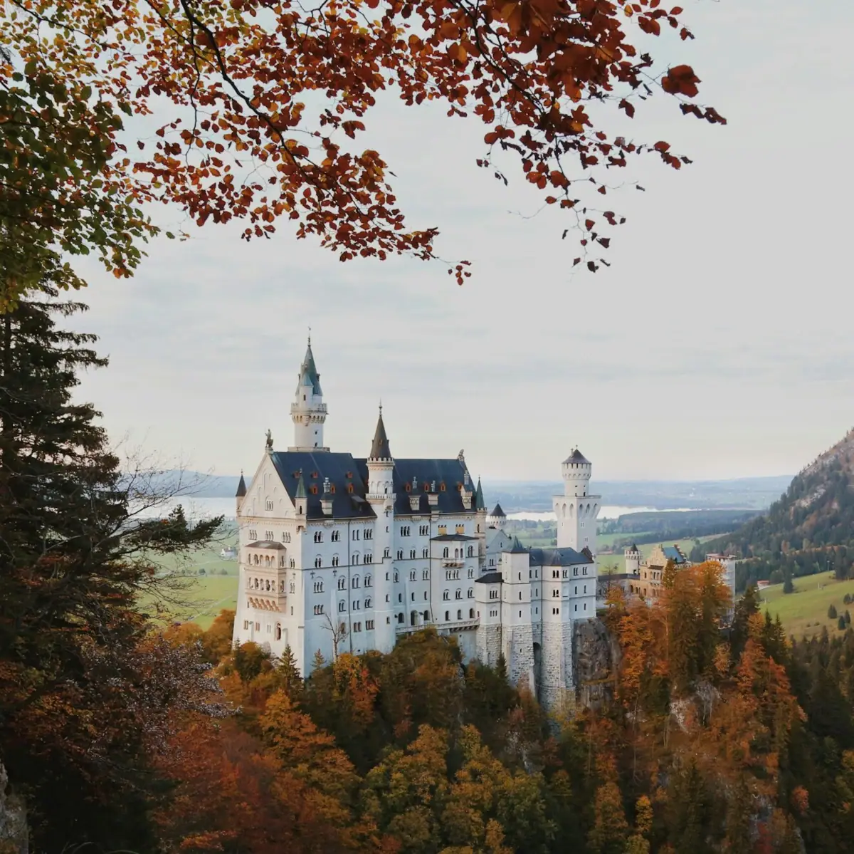 Schloss Neuschwanstein auf einem Hügel mit Bäumen und Bergen im Hintergrund.