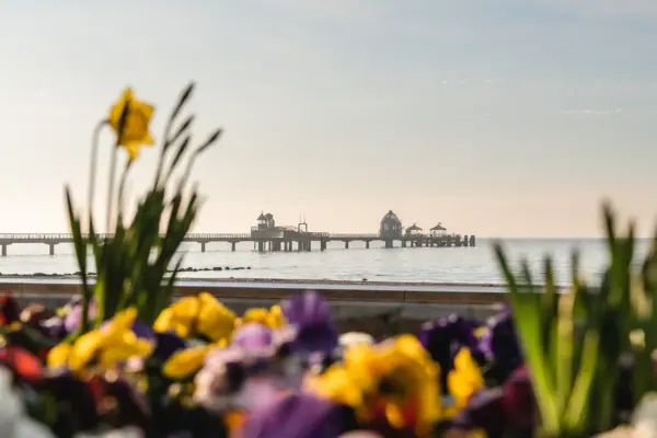 Ein Pier mit einer Brücke in der Ferne, umgeben von Wasser und Himmel.