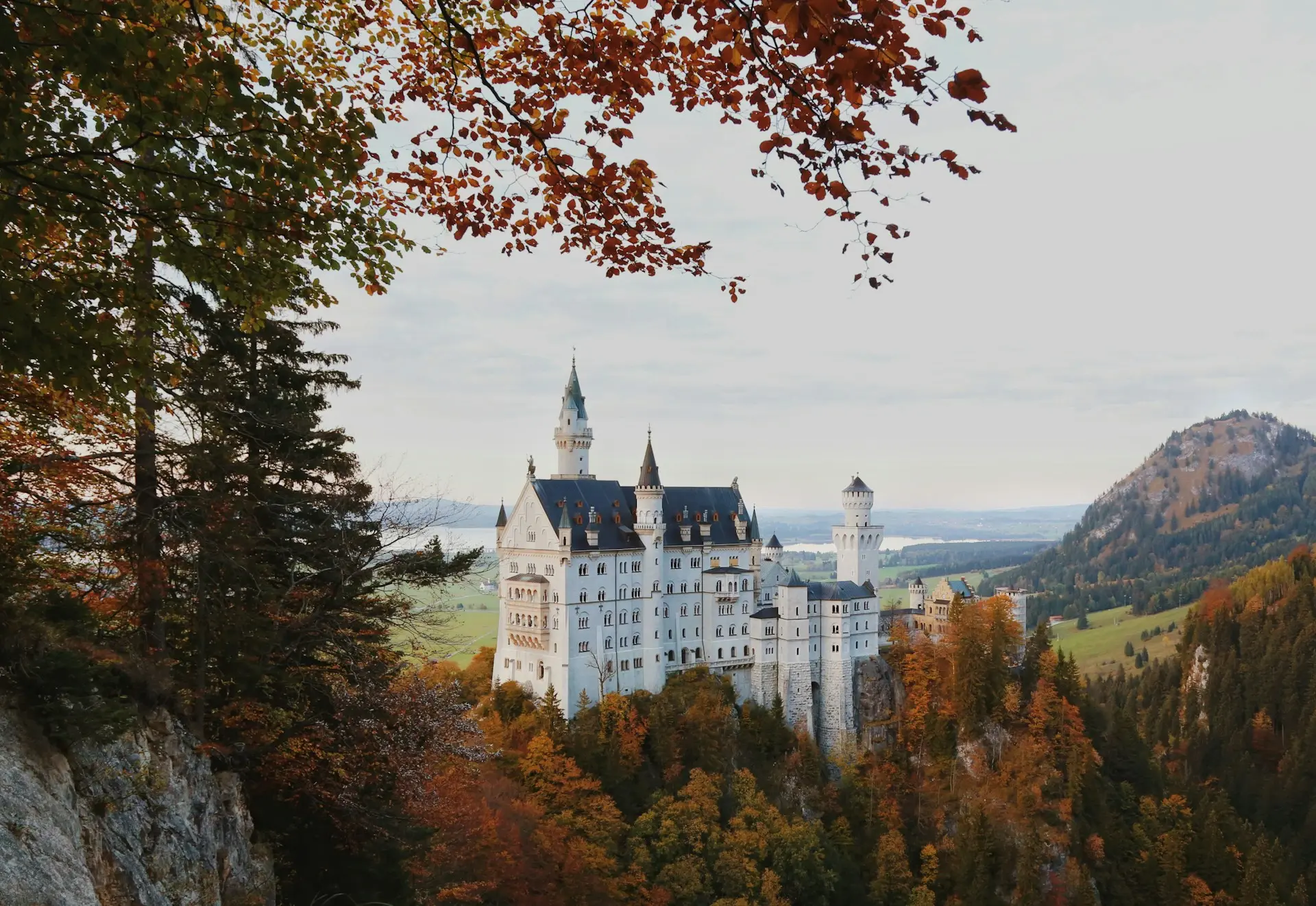 Schloss Neuschwanstein auf einem Hügel mit Bäumen und Bergen im Hintergrund.