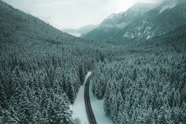 Anreise Auto Verschneite Landschaft mit einer Straße und Bäumen.