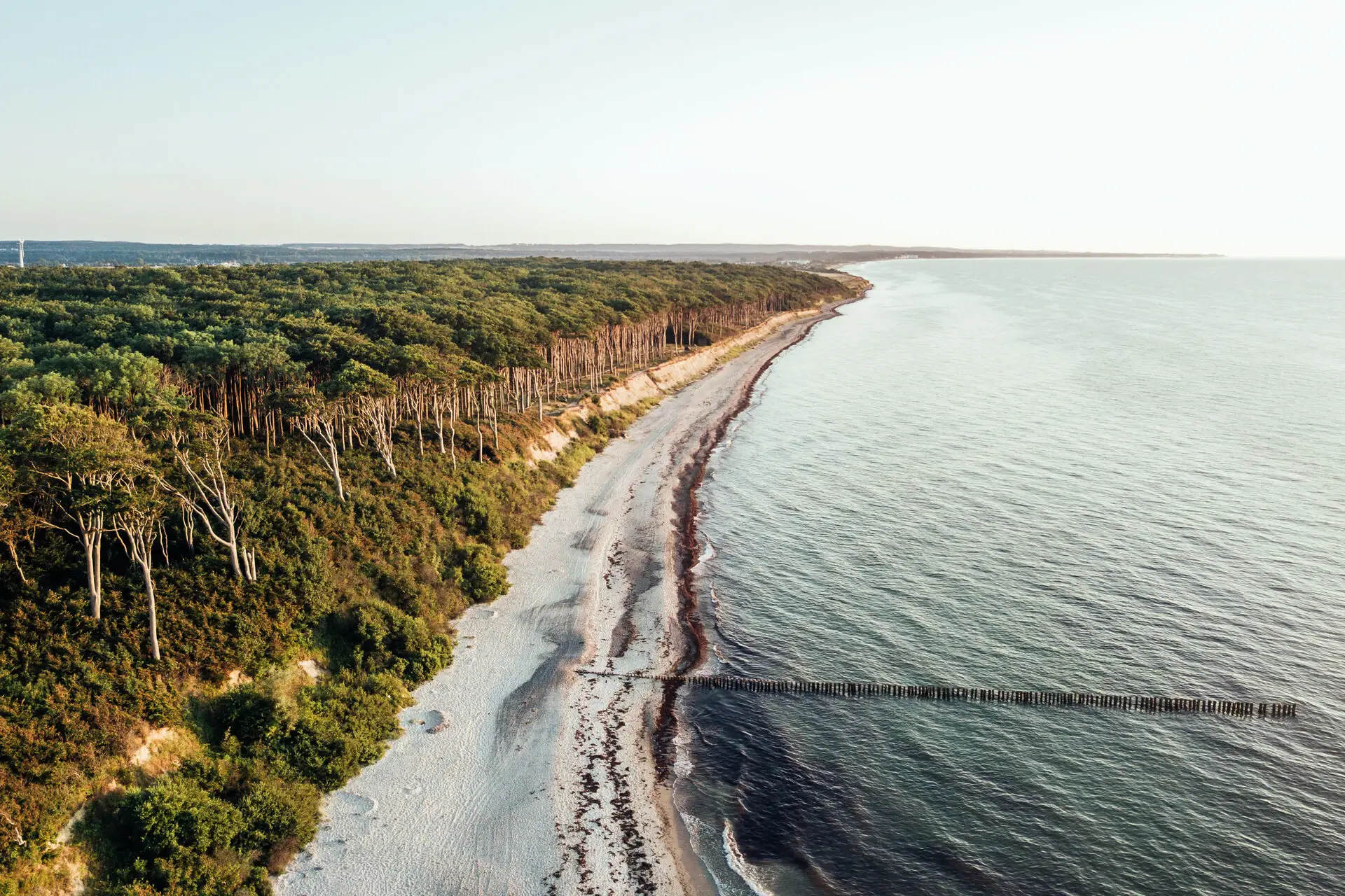 Strand mit Bäumen und Wasser im Vordergrund.