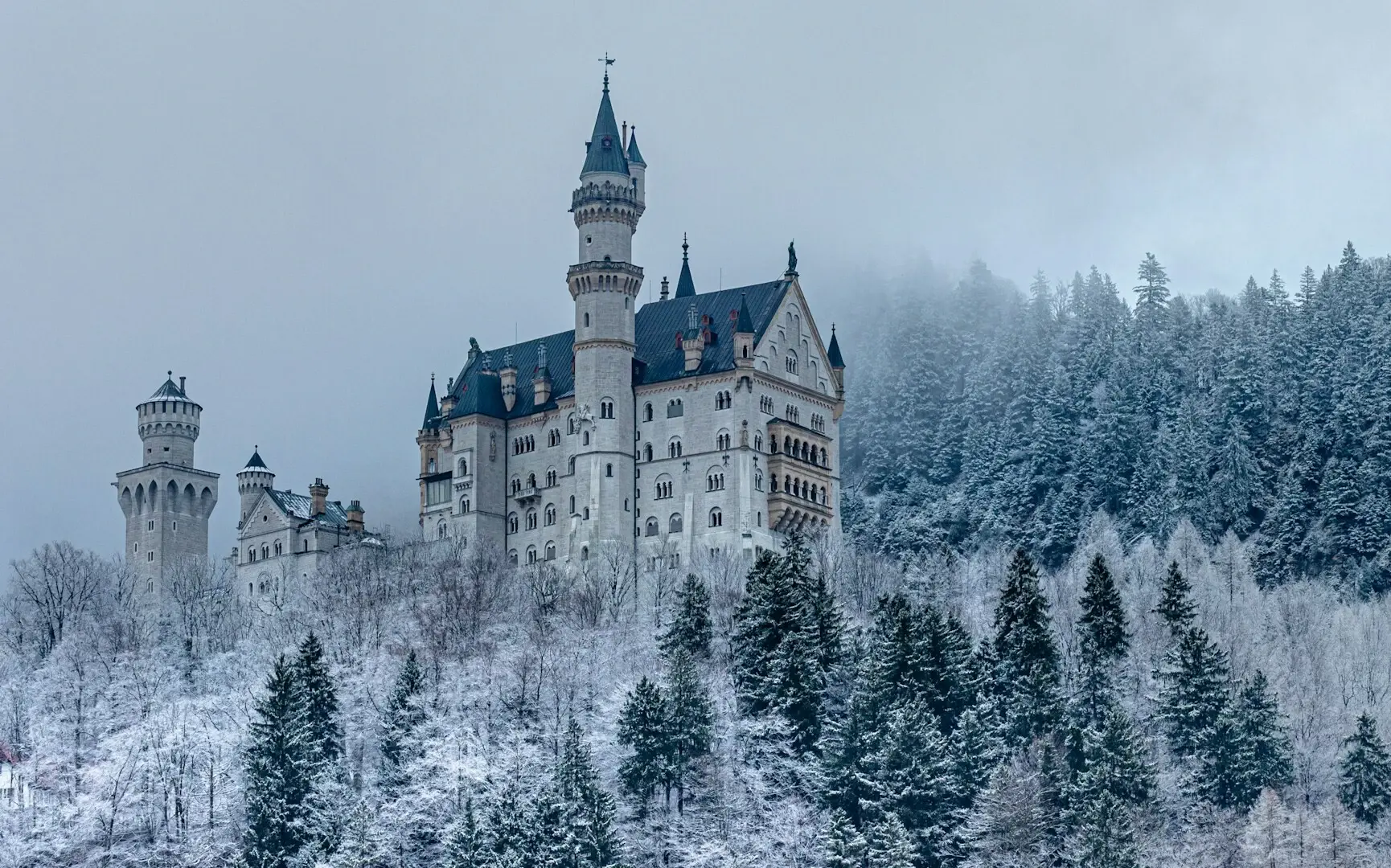 Das Schloss Neuschwanstein auf einem Hügel umgeben von schneebedeckten Bäumen im Winter.