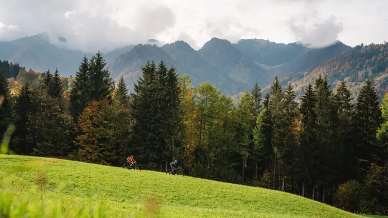Eine Person fährt mit dem Fahrrad auf einem grasbewachsenen Hügel, im Hintergrund sind Bäume und Berge zu sehen.