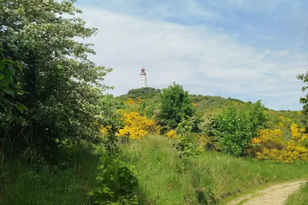 Ein Weg durch eine grasbewachsene Fläche mit einem Leuchtturm in der Ferne.
