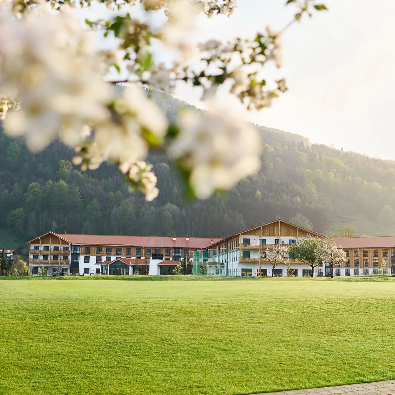Das aja Ruhpolding mit einem Kirchbaum im Vordergrund.